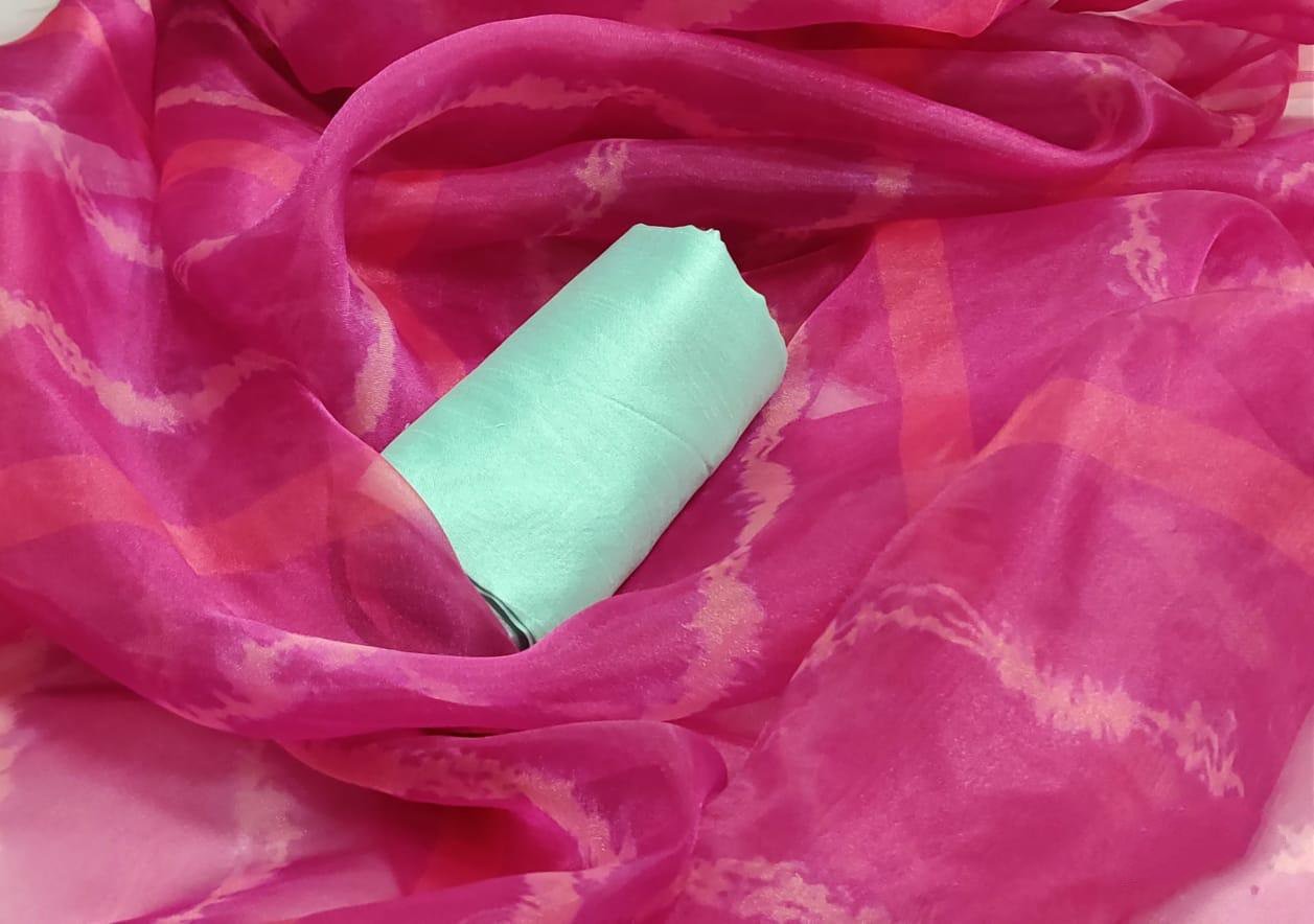 Baby pink heavy moss organza digital printed saree
