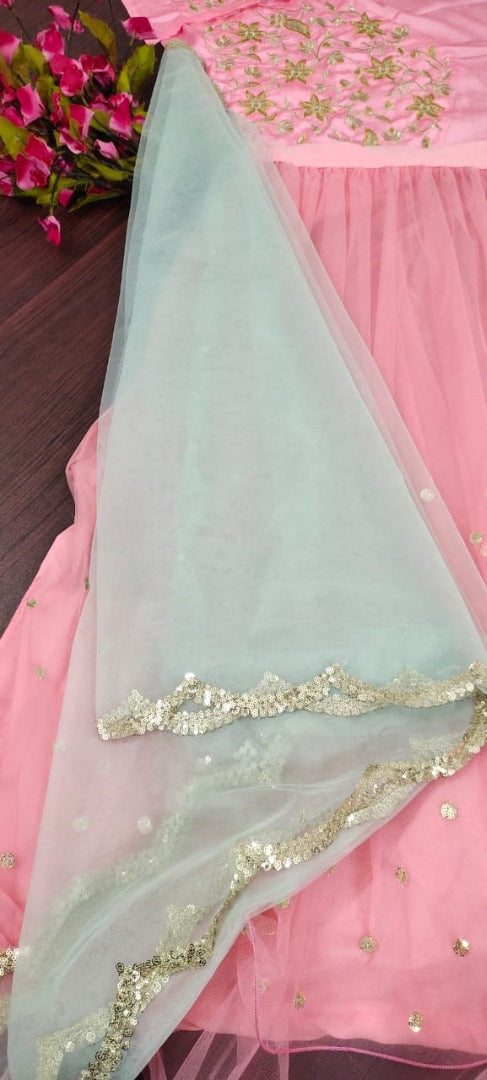 Baby pink soft net sequin embroidery work lehenga choli