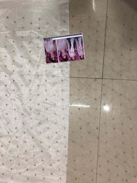 Beautiful bollywood style white ceremonial saree