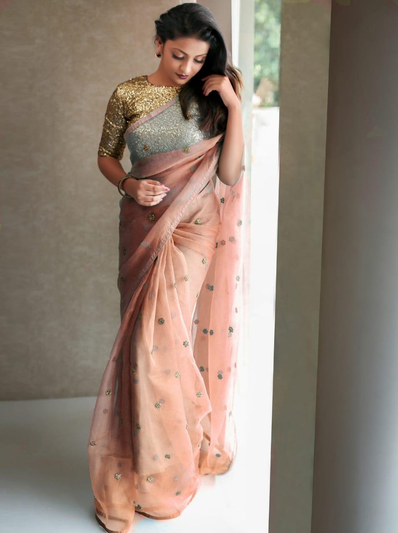 Beautiful organza net partywear saree with sequence work blouse