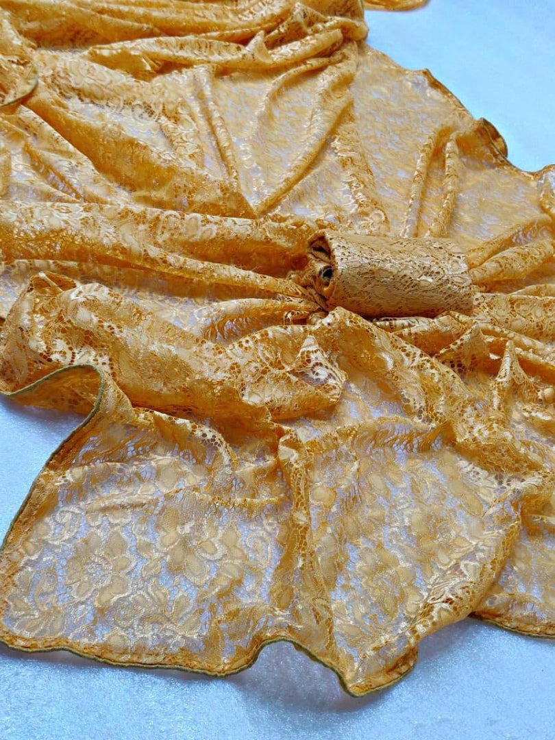 Beige heavy chantley net partywear saree