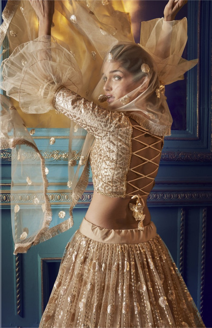 Beige soft net sequence work bridal lehenga choli