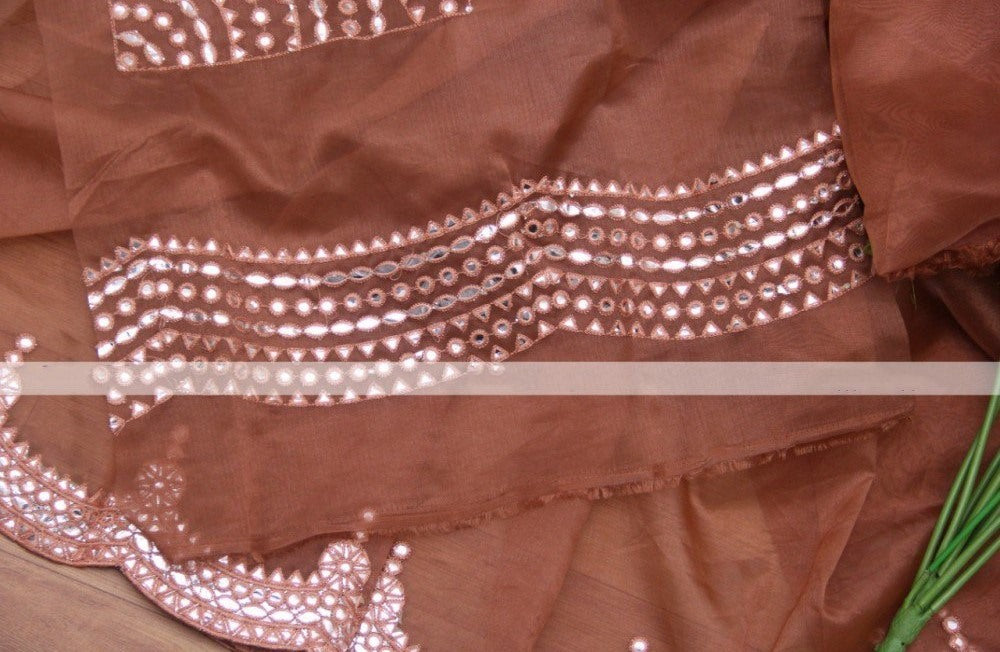 Brown organza paper mirror work saree