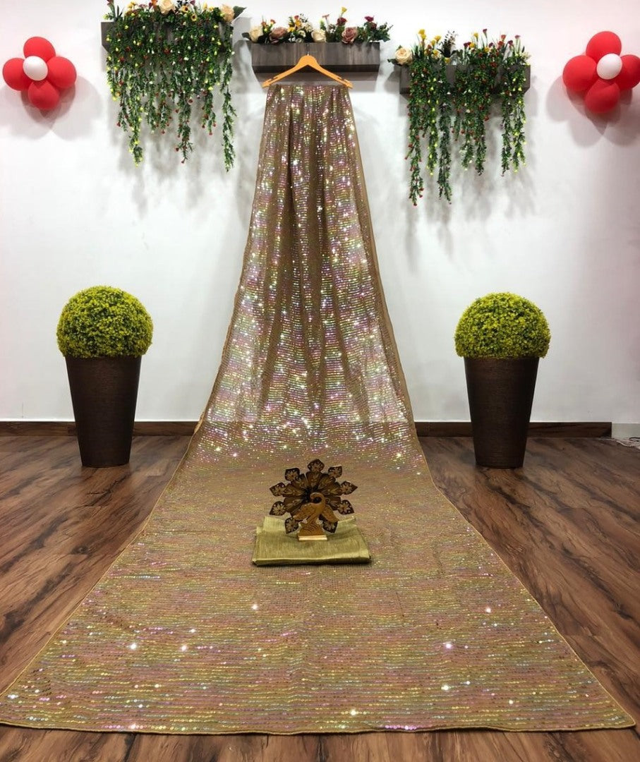 Brown sequence work partywear saree