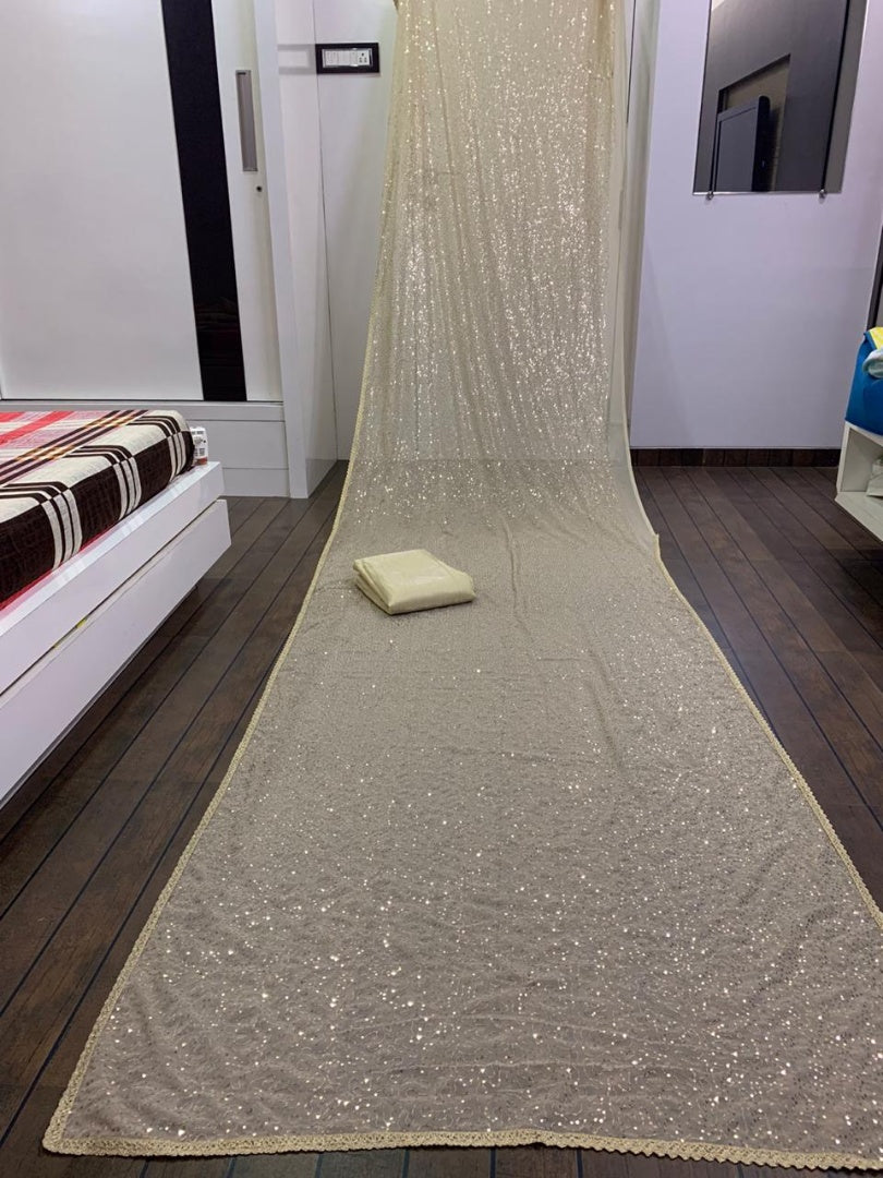 Cream georgette full sequence work saree