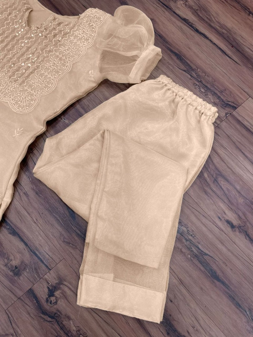 Cream organza thread and sequence embroidered salwar suit