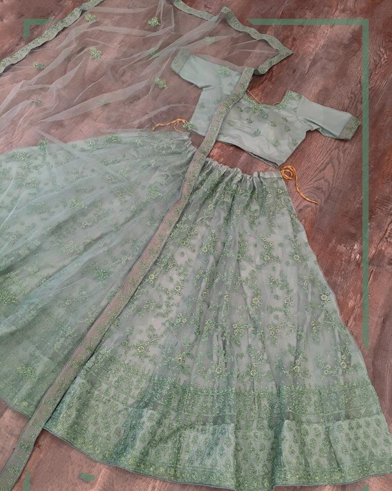 Grey net glitter zari embroidered border work lehenga choli