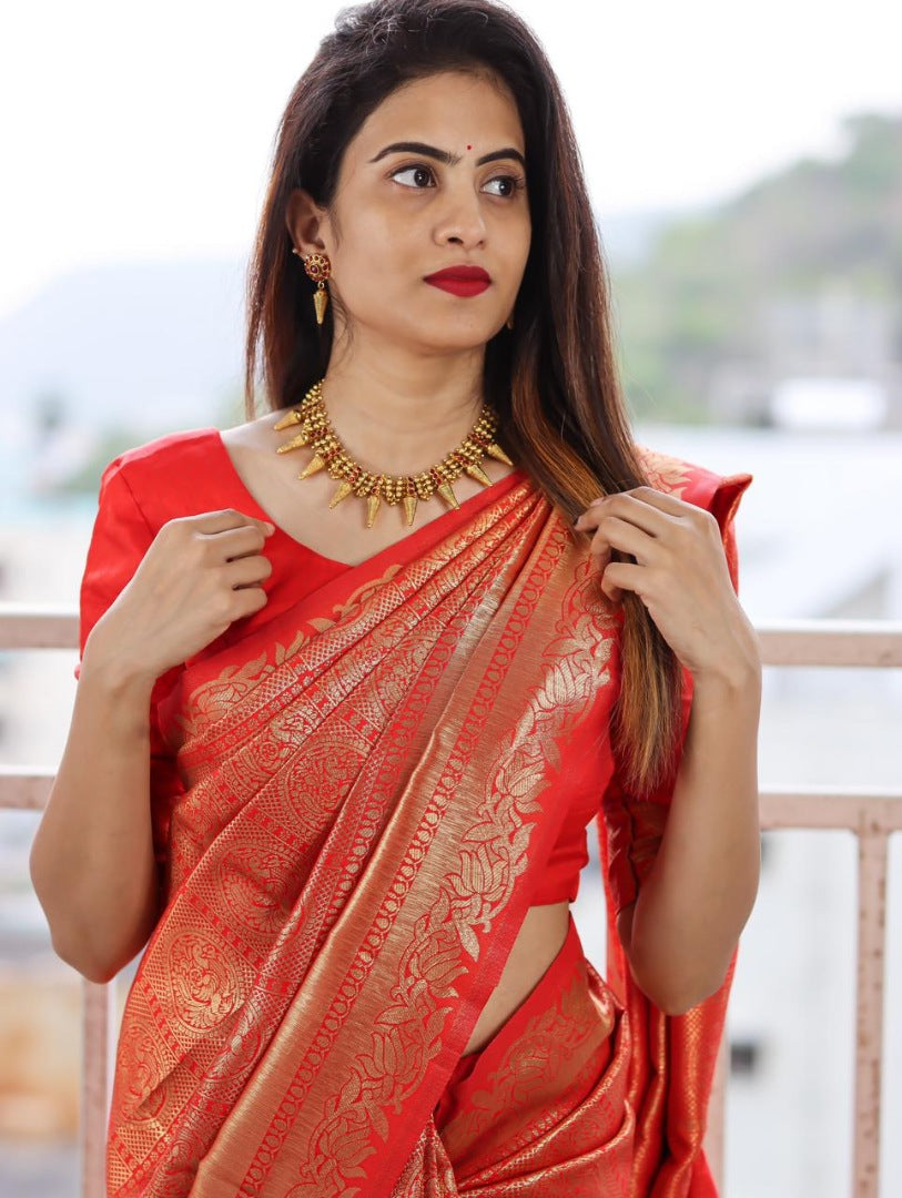 Magento red kanchiwaram zari weaving work wedding saree