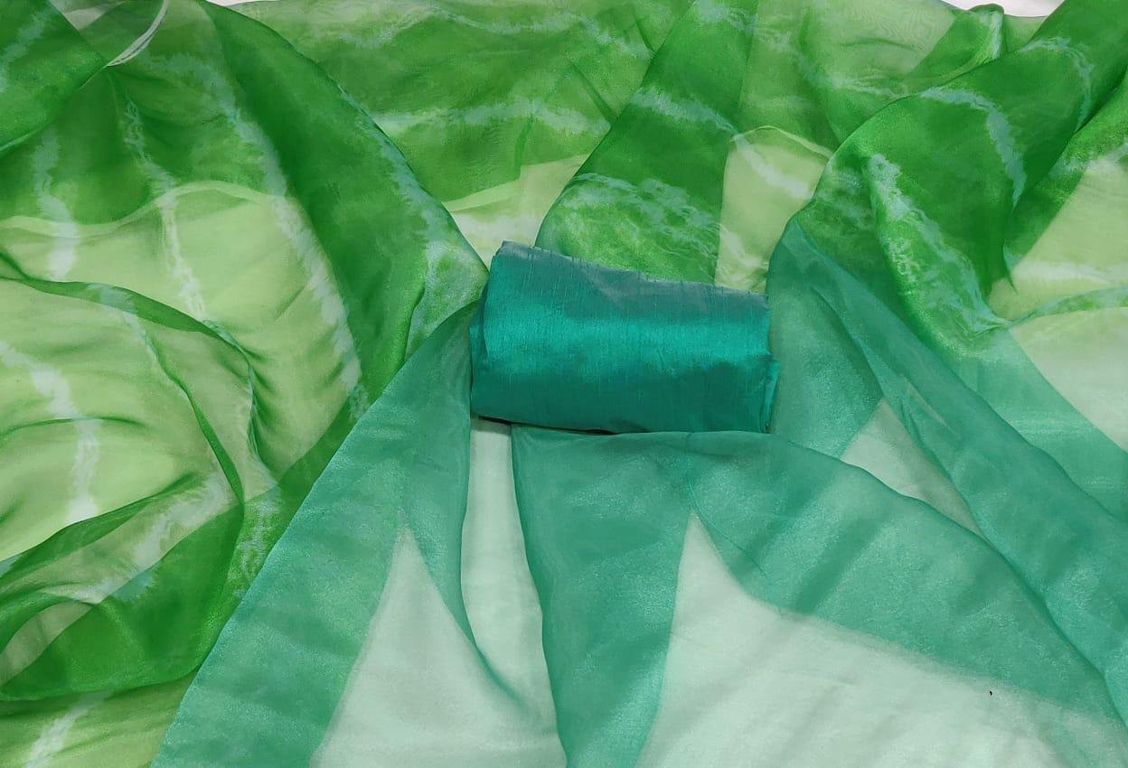 multicolor green heavy moss organza digital printed saree