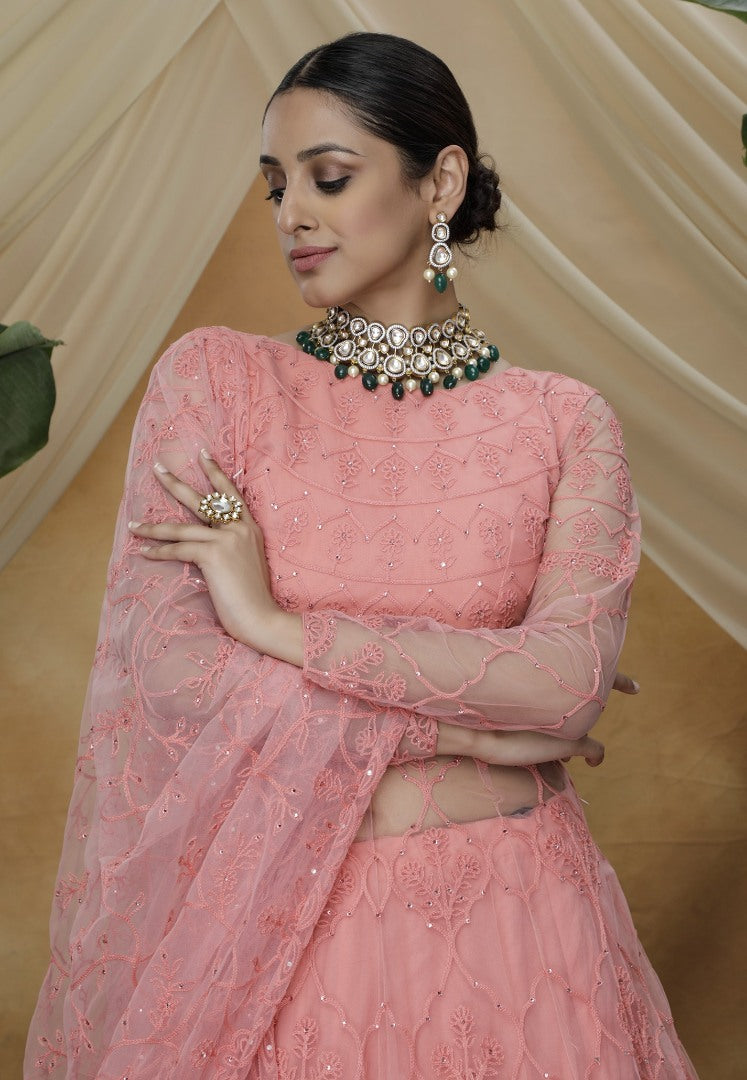 Pink santoon net embroidered lehenga gown