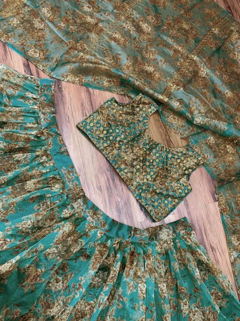 Rama organza embroidered with sequence work lehenga choli