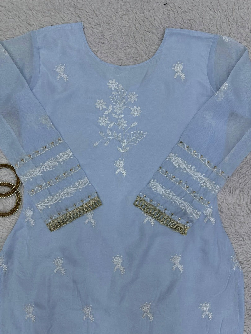 Sky blue designer organza salwar suit