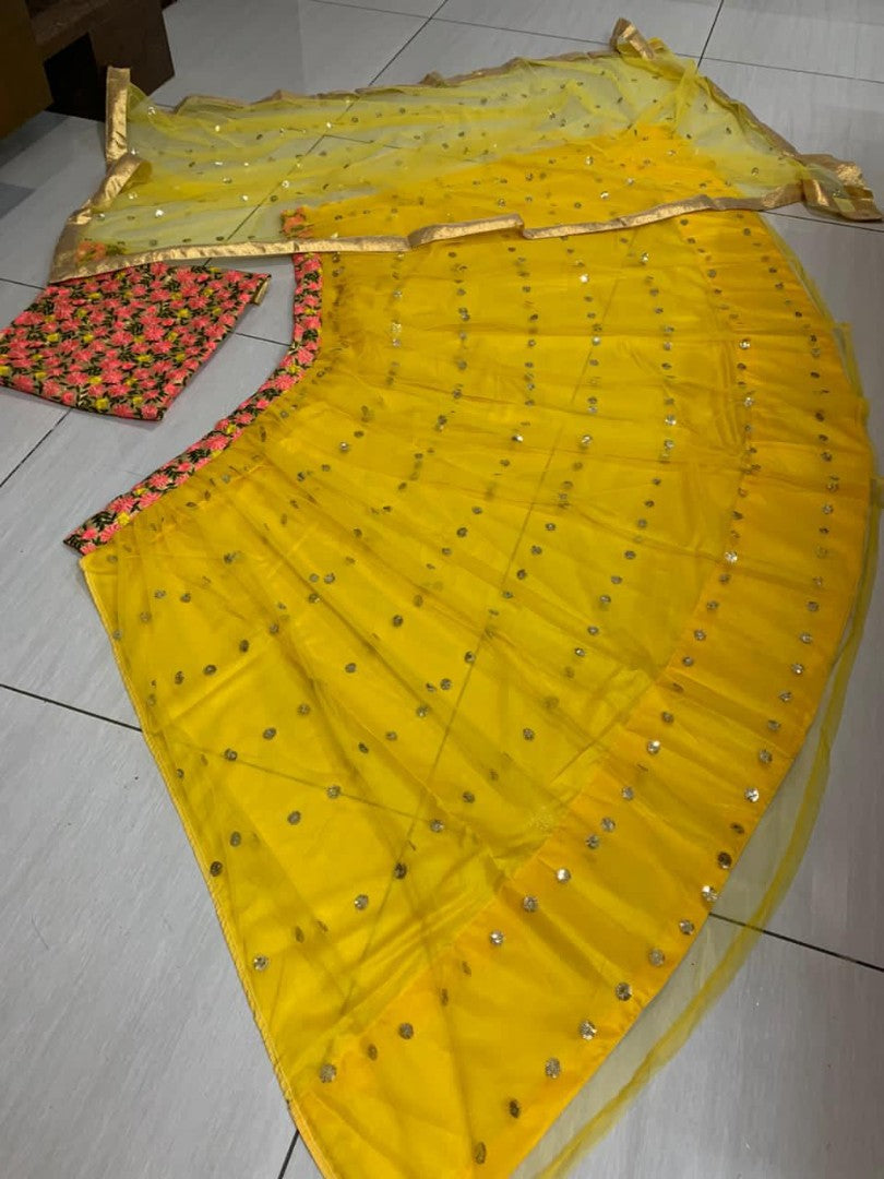 Yellow net sequence work lehenga choli
