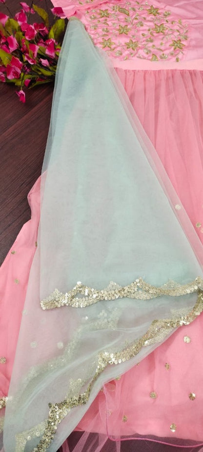 Baby pink soft net sequin embroidery work lehenga choli