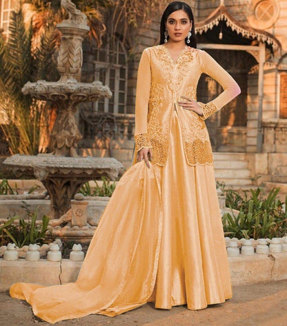 Beautiful embroidered lehenga suit
