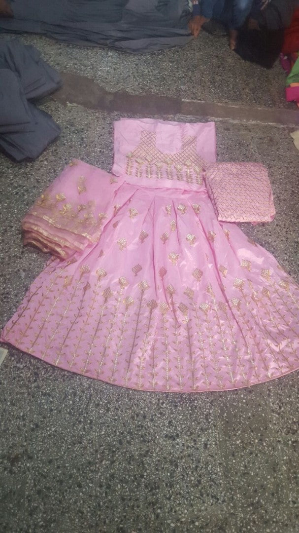 Beautiful Pink embroidered Wedding lehenga