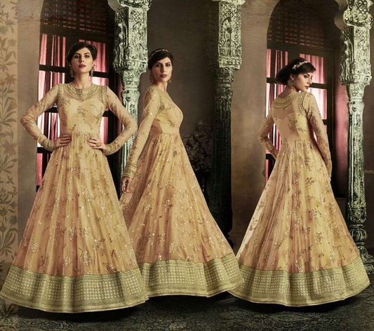 Beige Colored Net Embroidered Semi Stitched gown