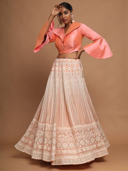 Beige lucknowi work crop top lehenga with stitched blouse