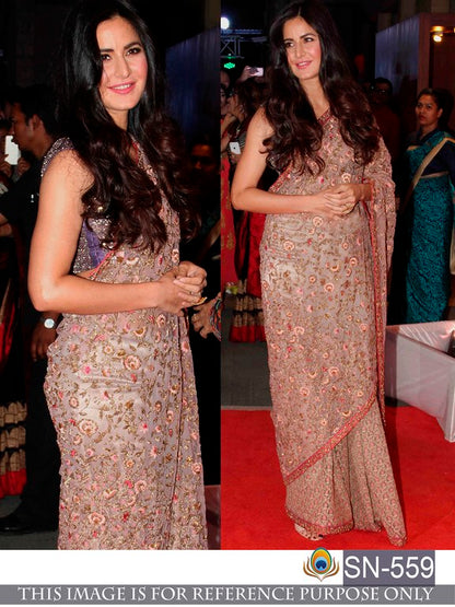 Beige mono net heavy embroidered ceremonial saree