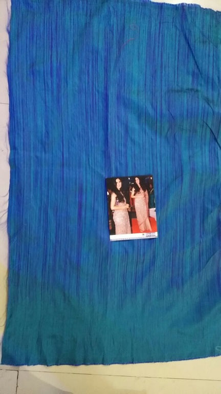 Beige mono net heavy embroidered ceremonial saree