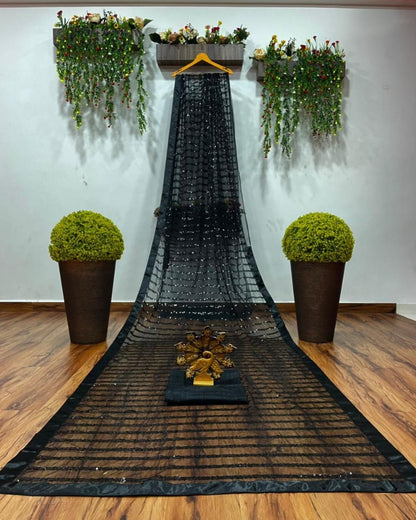 Black net sequence work bollywood saree