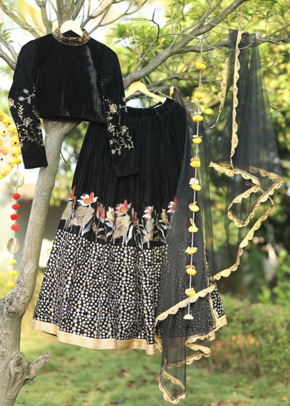 Black velvet heavy embroidered lehenga choli