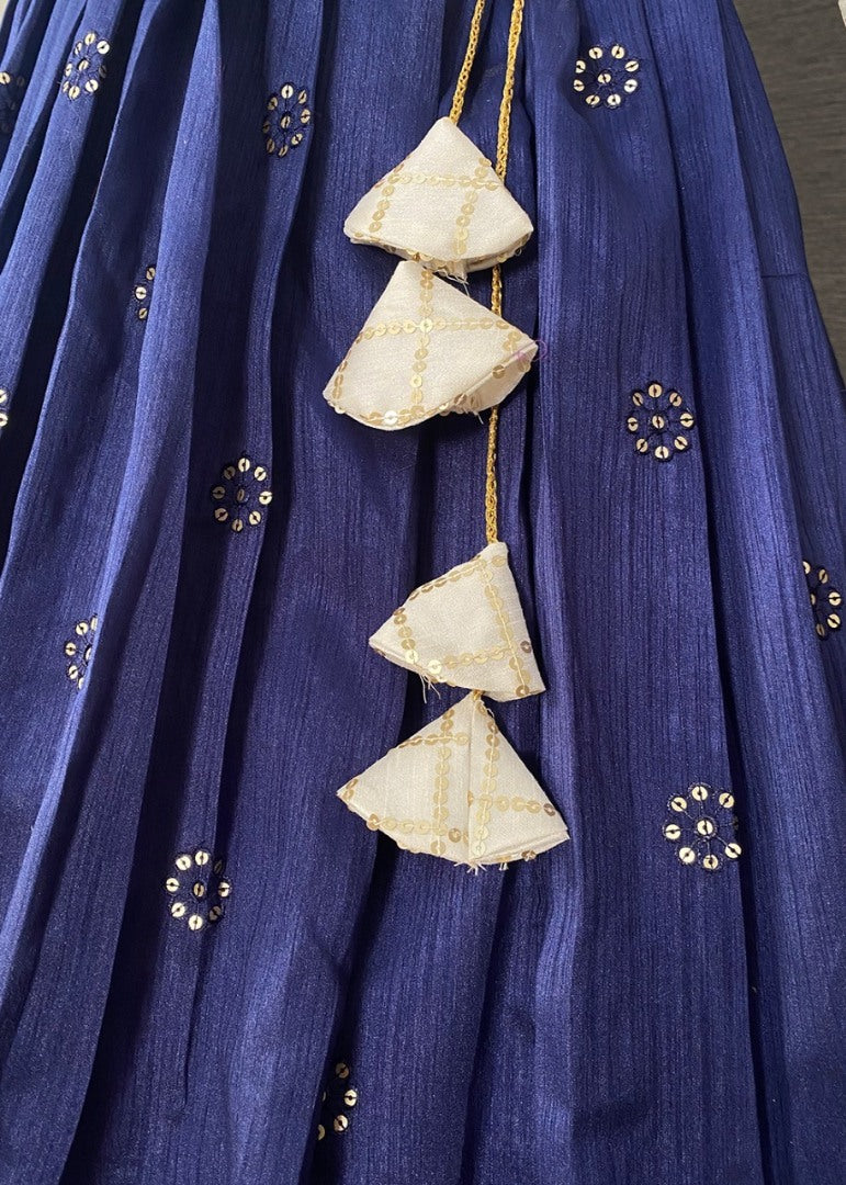 Blue mono banglory sequin embroidery ceremonial lehenga choli