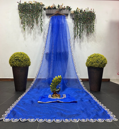Blue organza thread and sequence work partywear saree