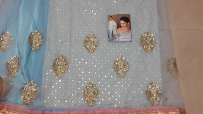 Bollywood style attractive sky saree