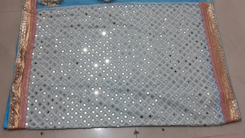 Bollywood style attractive sky saree