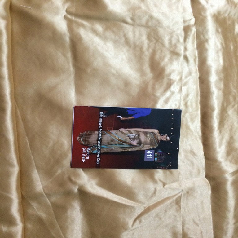 Bollywood style stylist brown embroidered saree