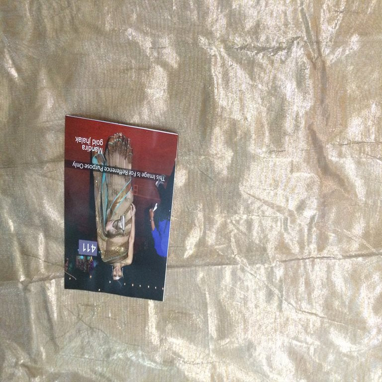 Bollywood style stylist brown embroidered saree