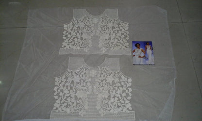 bollywood white saree with fancy blouse