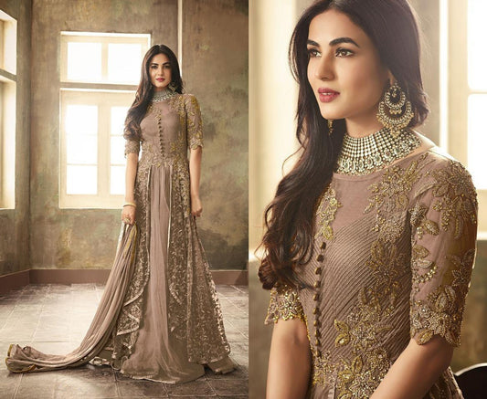 Brown heavy net embroidery and stone worked designer gown with dupatta