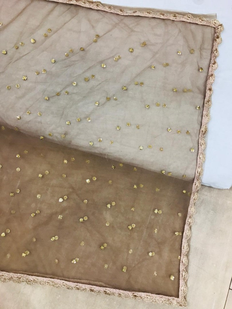 brown mono net embroidered ceremonial saree