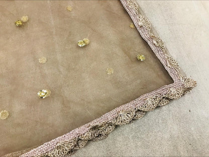 brown mono net embroidered ceremonial saree