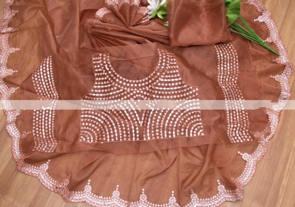 Brown organza paper mirror work saree