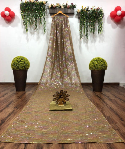 Brown sequence work partywear saree
