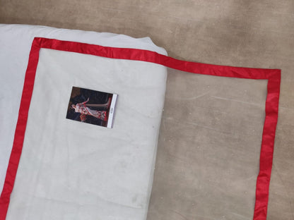 Cream net rose threadwork designer partywear saree