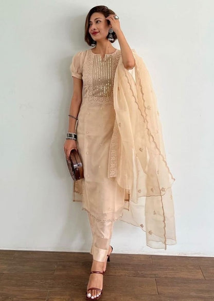 Cream organza thread and sequence embroidered salwar suit