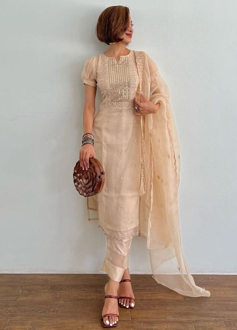 Cream organza thread and sequence embroidered salwar suit