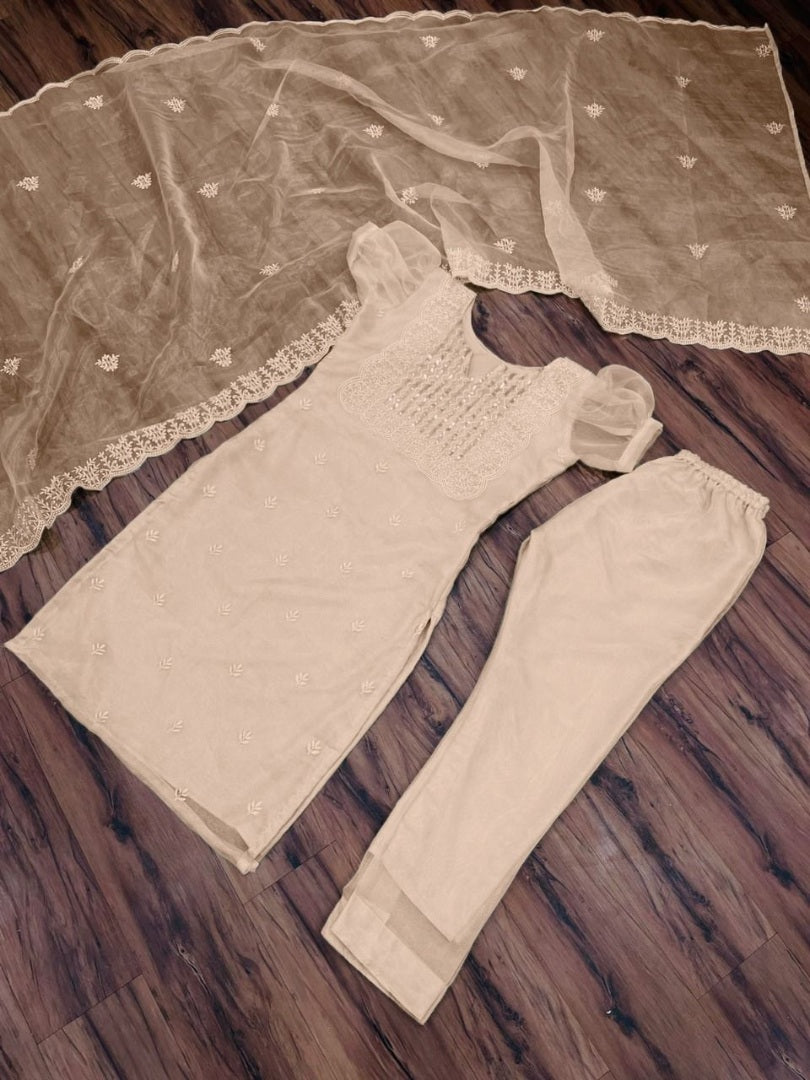 Cream organza thread and sequence embroidered salwar suit