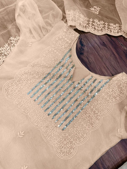 Cream organza thread and sequence embroidered salwar suit