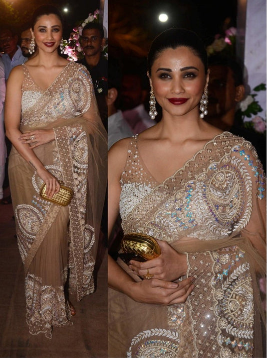 Daisy shah designer embroidered butterfly net ceremonial bollywood style saree