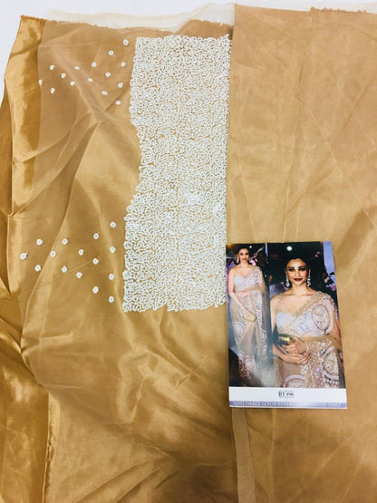 Daisy shah designer embroidered butterfly net ceremonial bollywood style saree