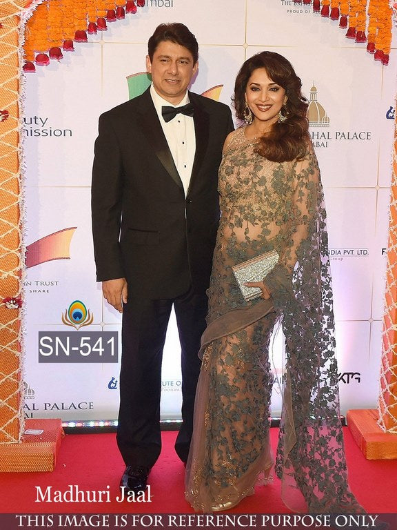 Designer bollywood style net saree