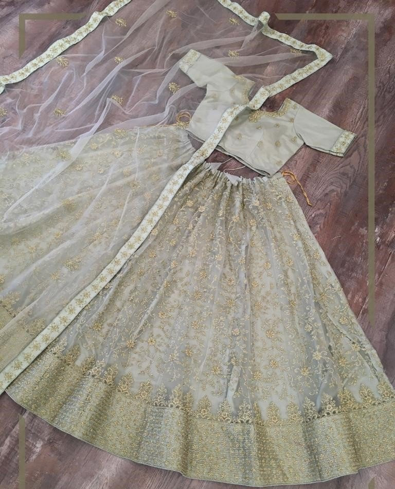 Grey net glitter zari embroidered border work lehenga choli