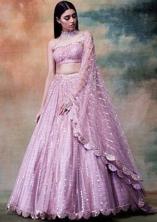Light purple butterfly net heavy embroidered foil mirror work lehenga choli