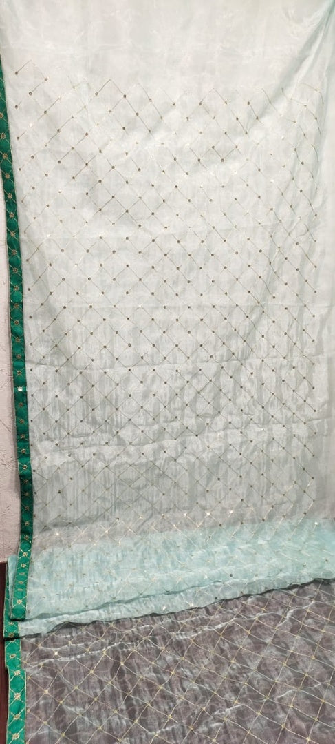 Light sea green sequence embroidery designer organza saree