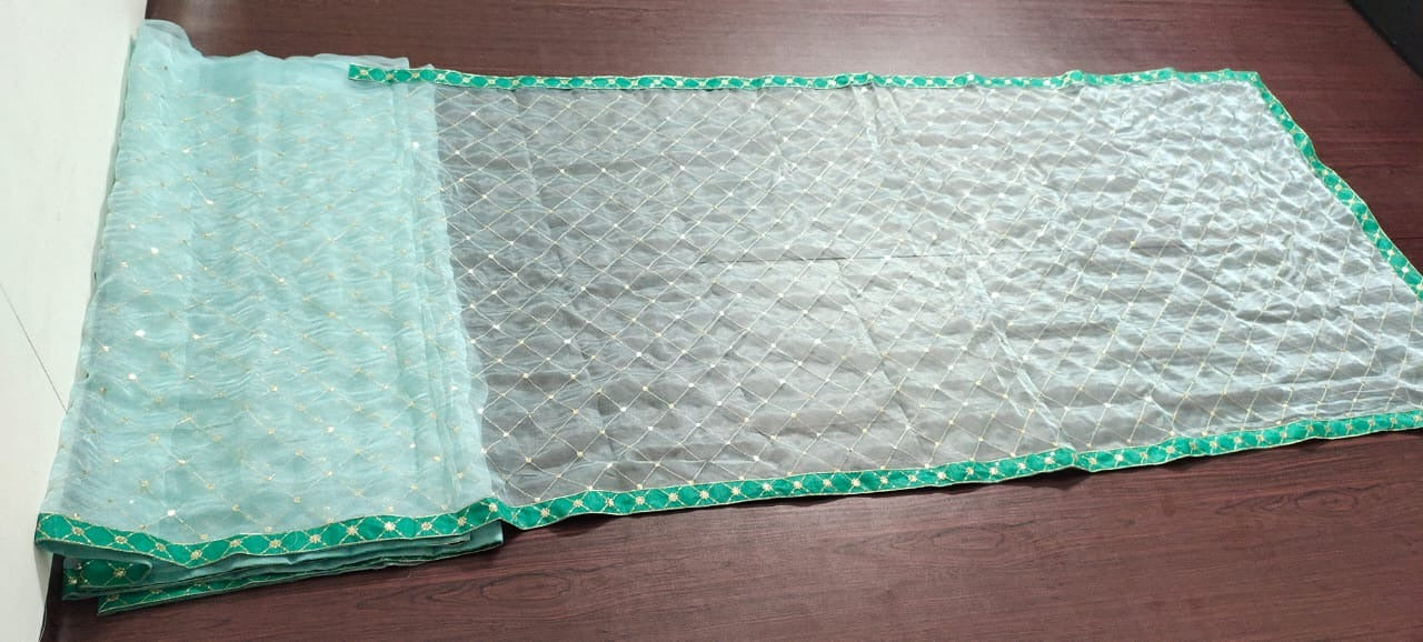 Light sea green sequence embroidery designer organza saree